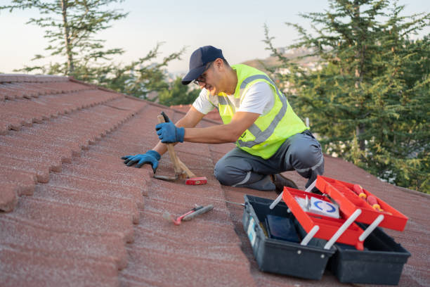 Best Gutter Installation and Roofing  in Mcqueeney, TX